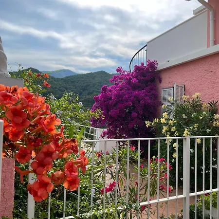 Apartment Rosa *