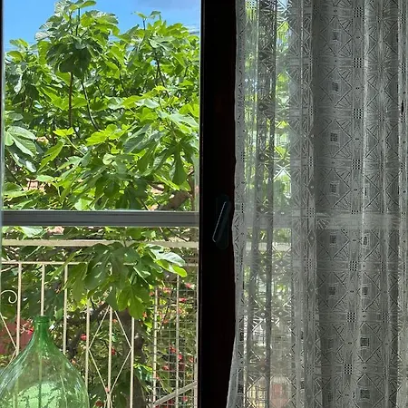 Apartment Rosa