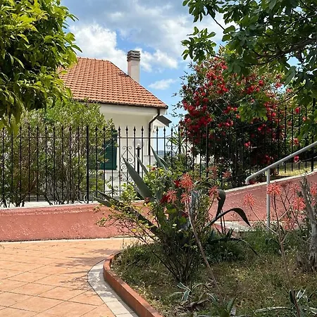 Apartment Rosa *