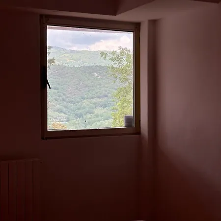 Rosa *